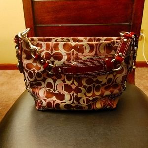 Coach Carly Hobo Bag (Medium)